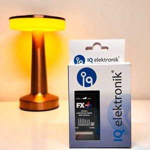 FX PLUS MİNİ AYARLI (12V-24V) AMERİKAN PARK MODÜLÜ IQ