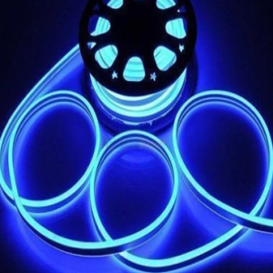 12V NEON LED HORTUM MAVİ 5M