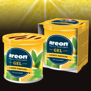 AREON GEL CAN CITRUS SQUASH