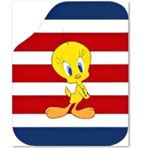 DEKOR PASPAS TWEETY 4'LÜ SET